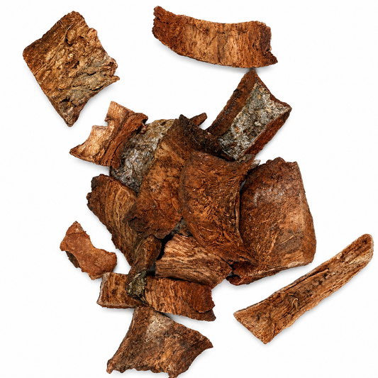 Cuachalalate Bark close-up – Alma Pura Specialties