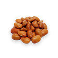 Premium Yellow Ayocote Beans – San Jose Farms