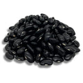 Premium Black Ayocote Beans – San Jose Farms