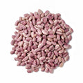 Premium Flor de Mayo Beans – San Jose Farms