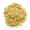 Premium Peruvian Mayocoba Beans – San Jose Farms