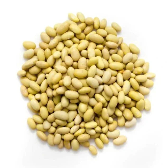 Premium Peruvian Mayocoba Beans – San Jose Farms