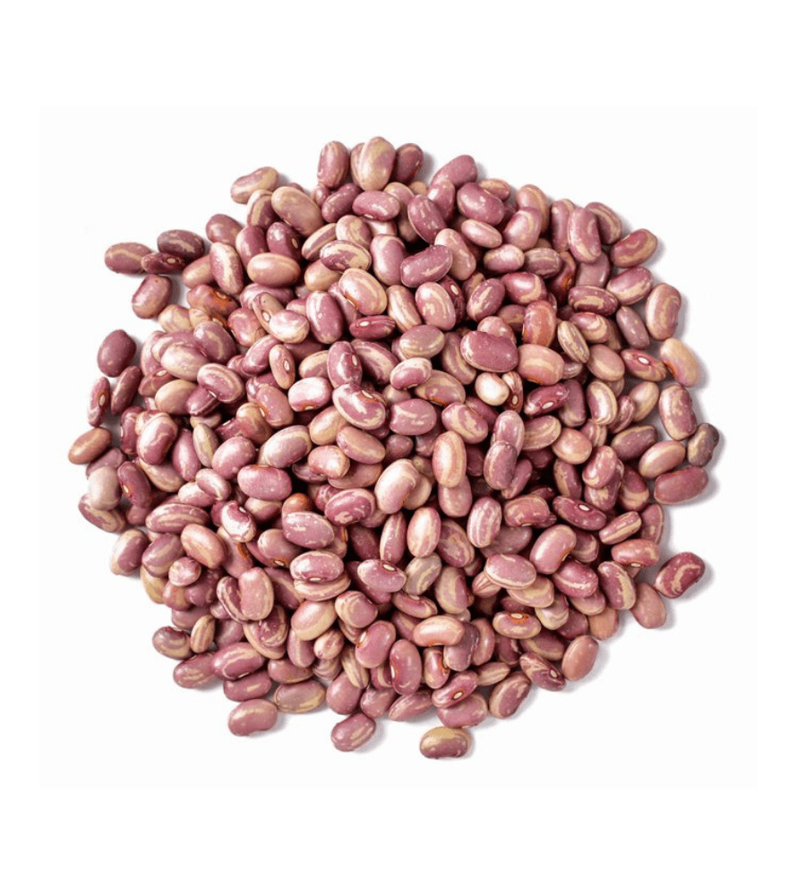 Premium Flor de Junio Beans – San Jose Farms