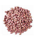Premium Flor de Junio Beans – San Jose Farms