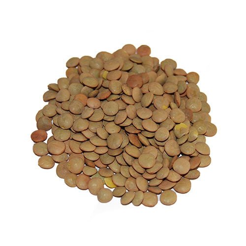 Premium Large Lentils – San Jose Farms