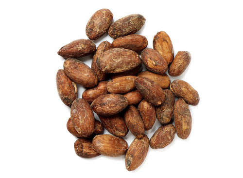 Premium Cacao Beans – San Jose Farms