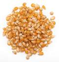 Premium Popcorn Kernels – San Jose Farms