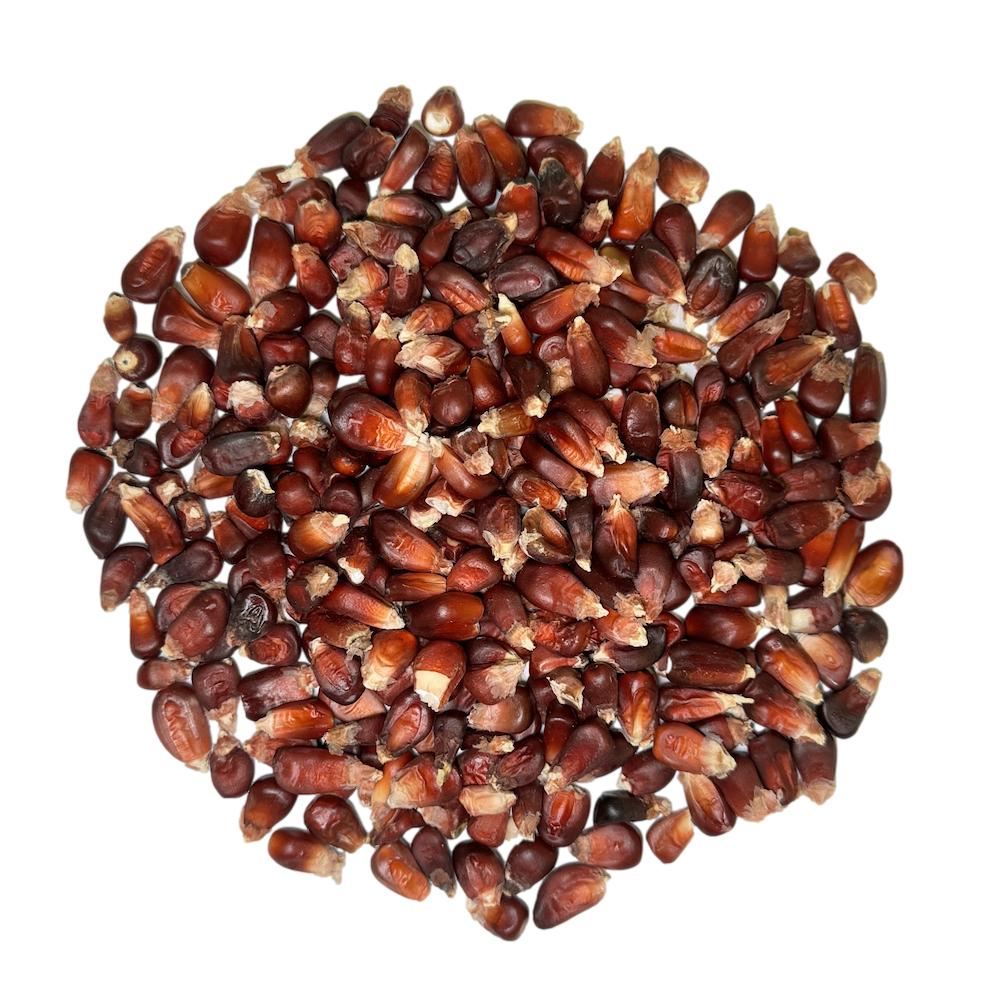 Premium Red Corn – San Jose Farms
