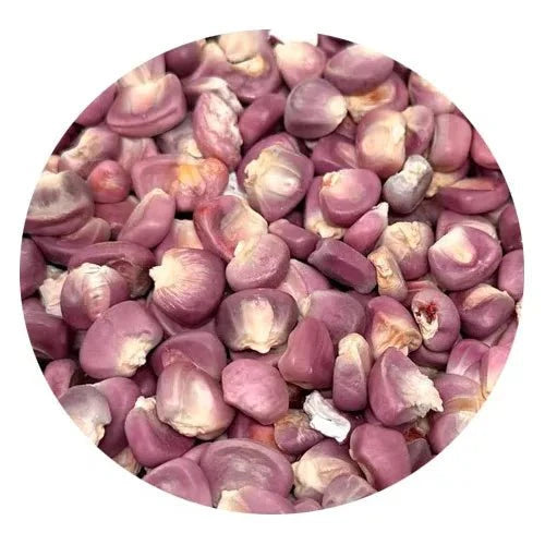 Premium Purple Hominy Corn – San Jose Farms