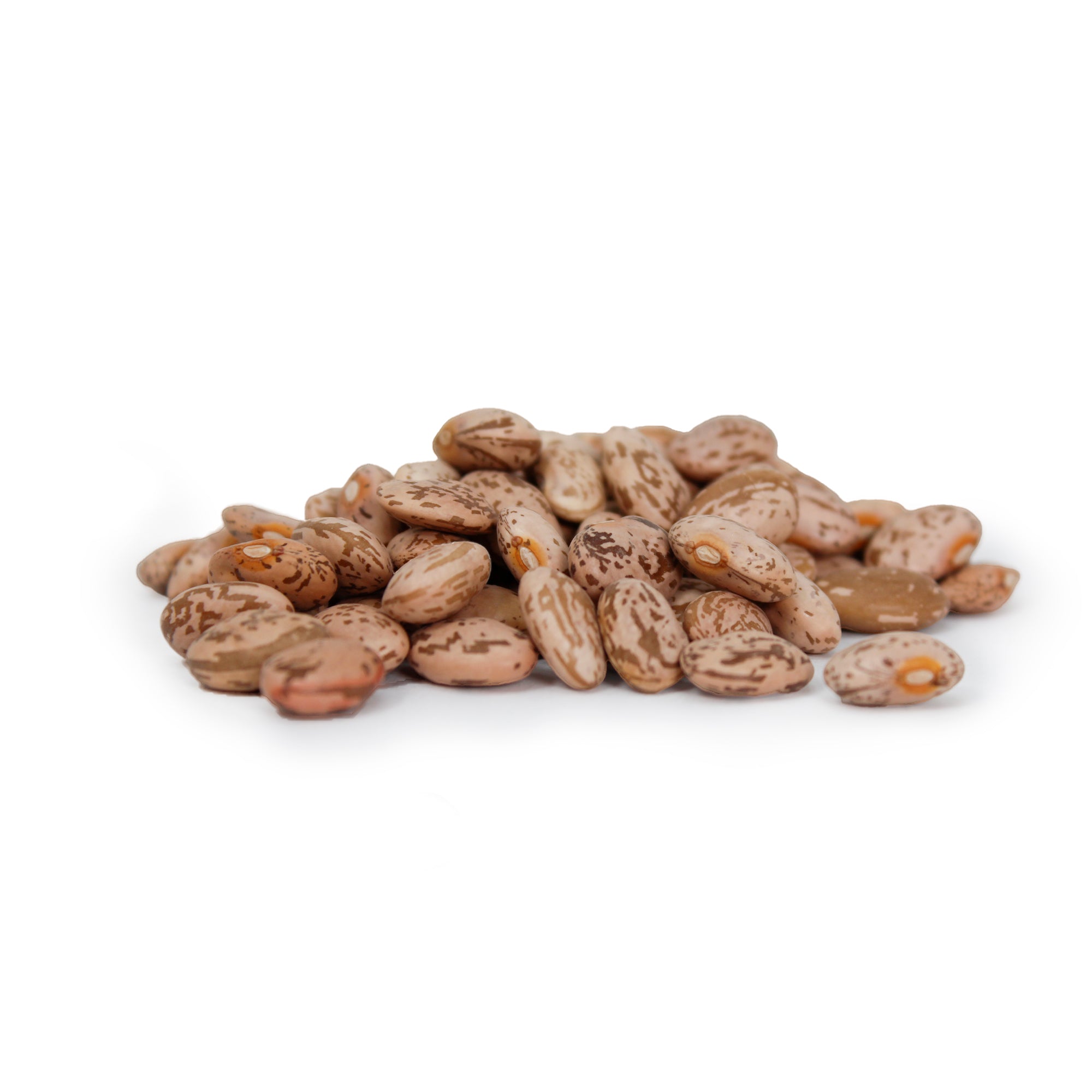 Premium Pinto Beans – San Jose Farms