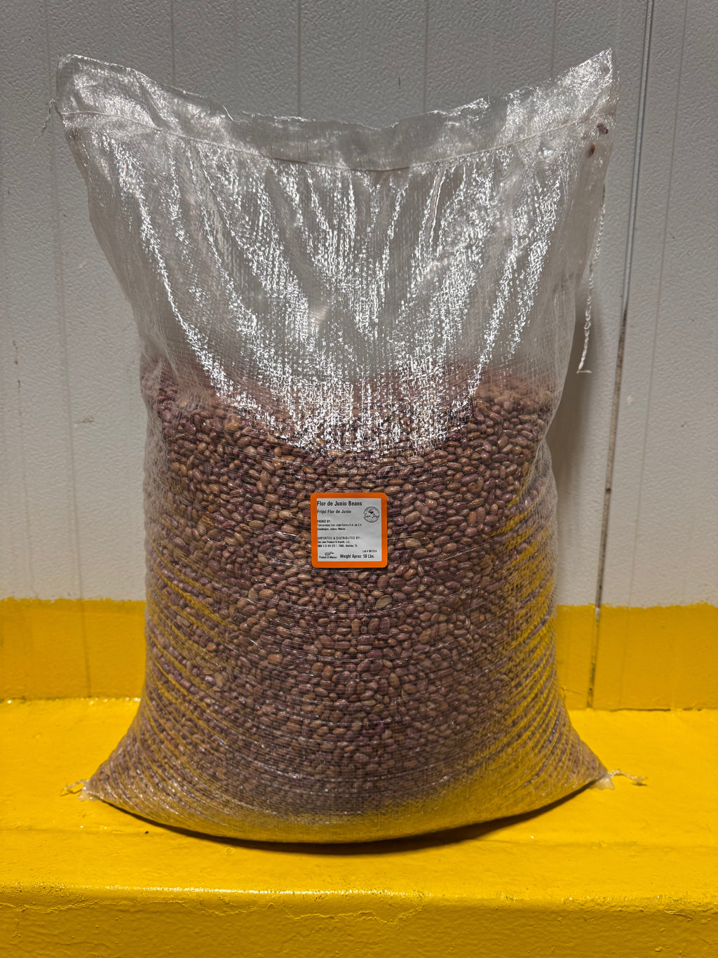 Premium Flor de Junio Beans – San Jose Farms