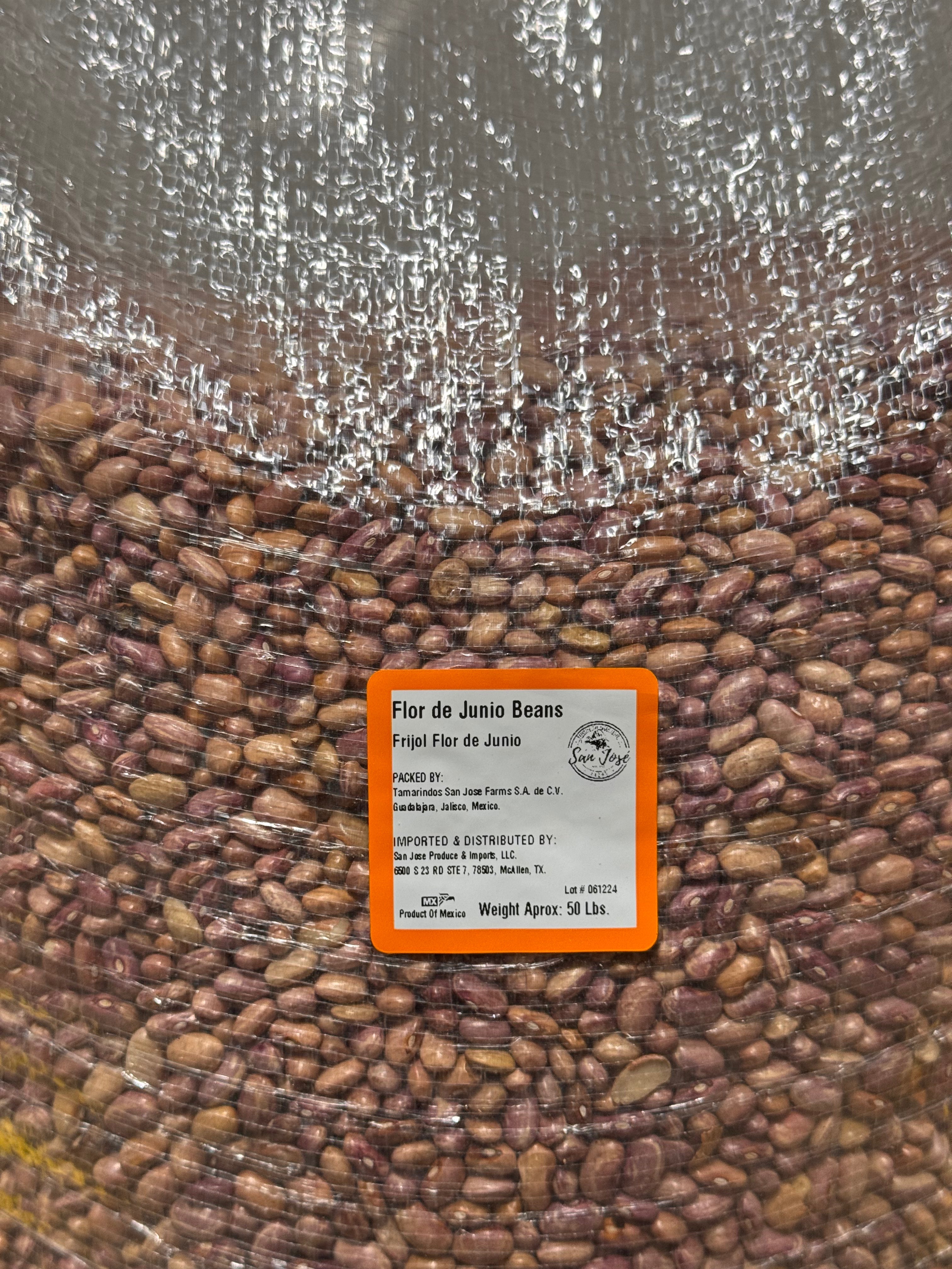 Premium Flor de Junio Beans – San Jose Farms
