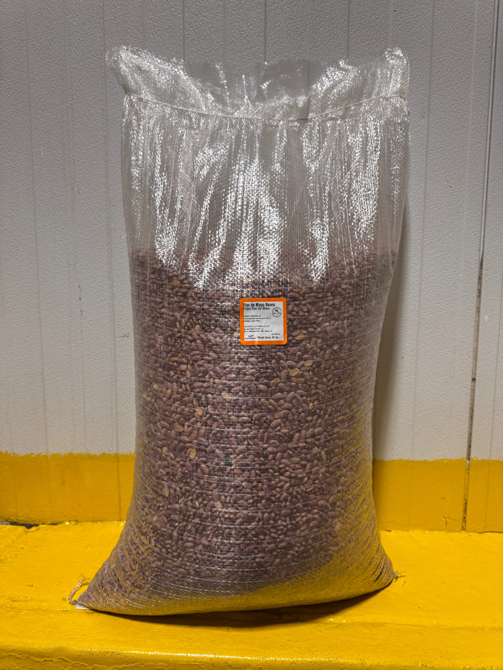 Premium Flor de Mayo Beans – San Jose Farms