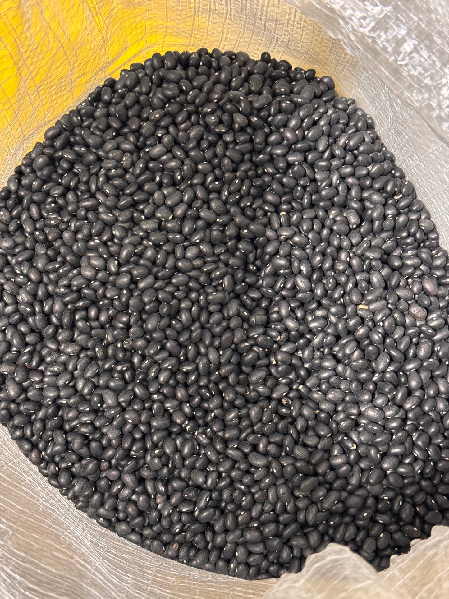 Premium Black Beans – San Jose Farms