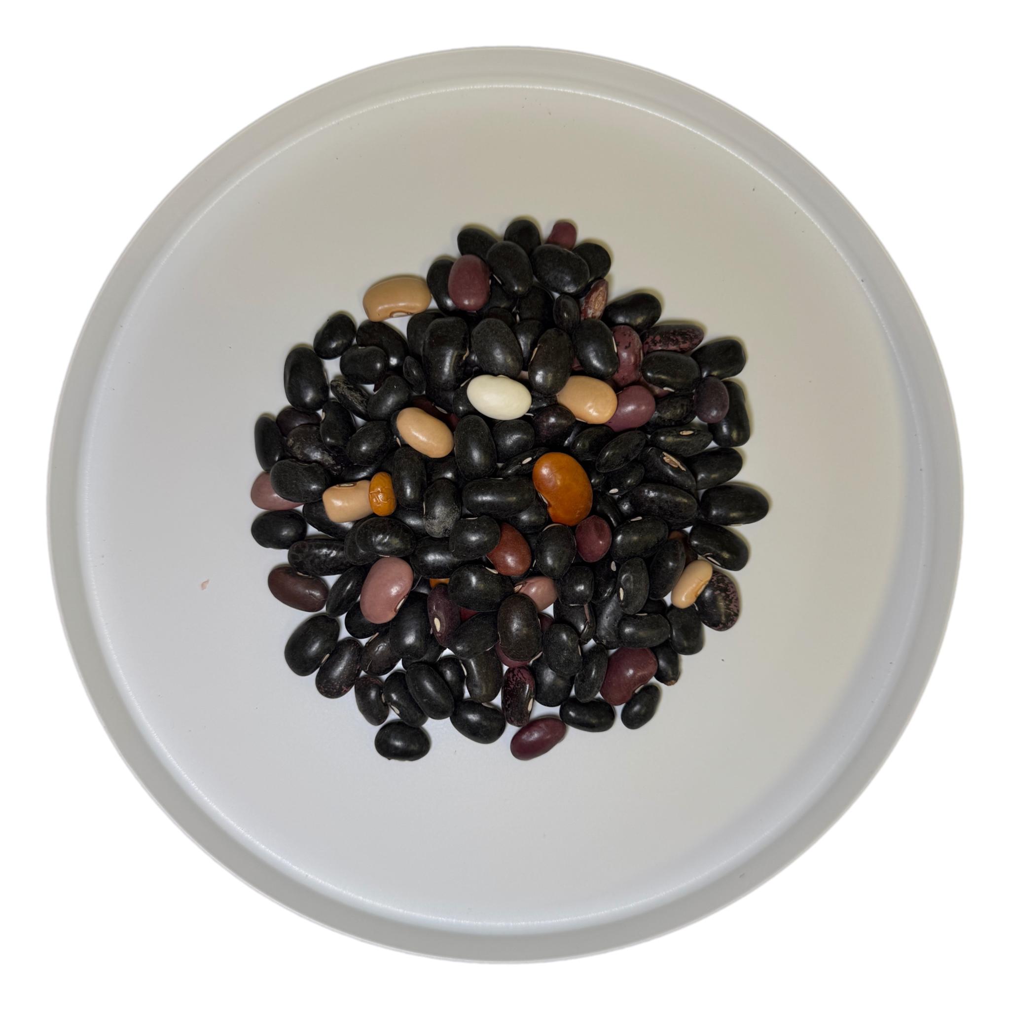 Premium Pinto Ayocote Beans – San Jose Farms