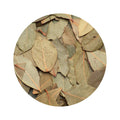 Premium Whole Bay Leaves – San Jose Farms