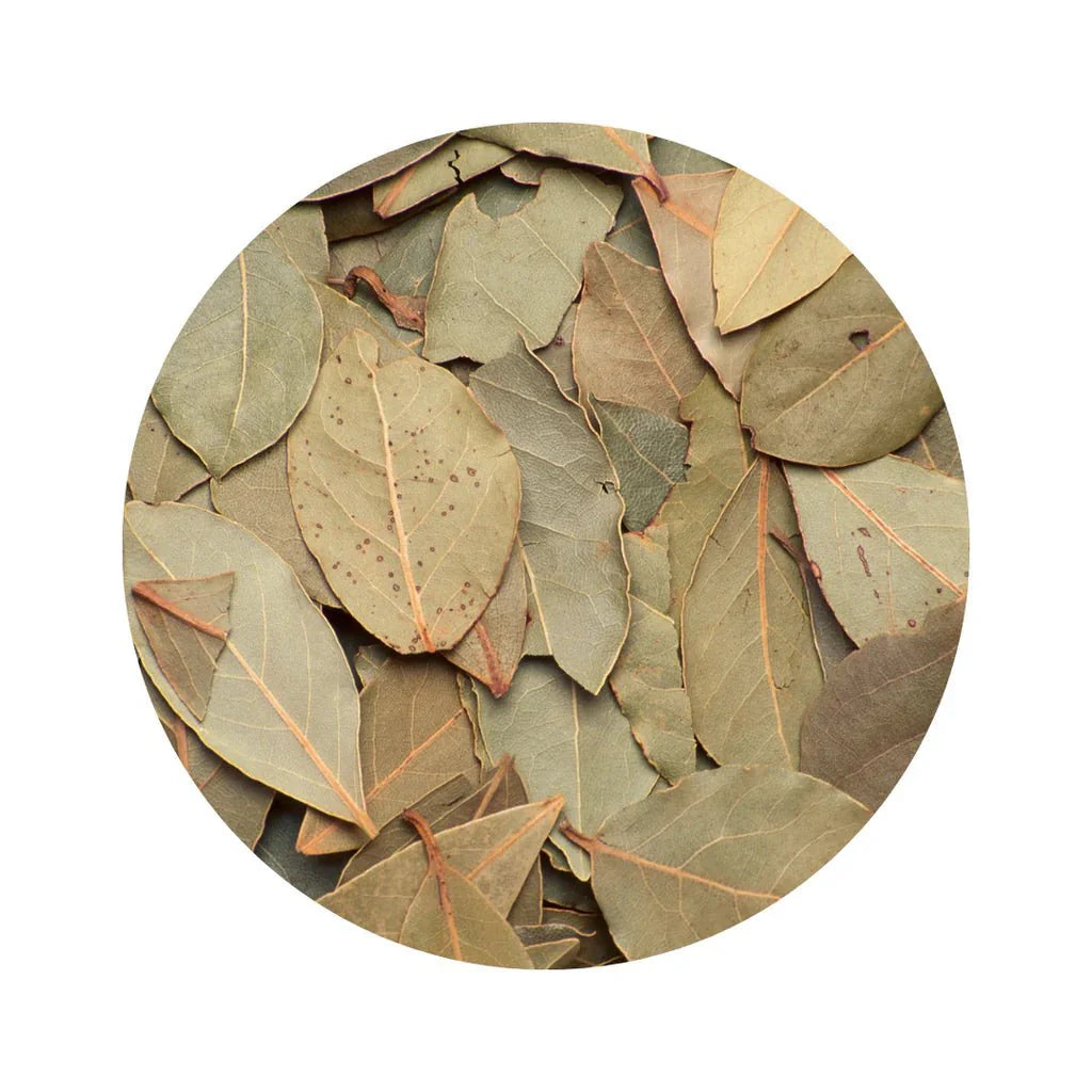 Premium Whole Bay Leaves – San Jose Farms