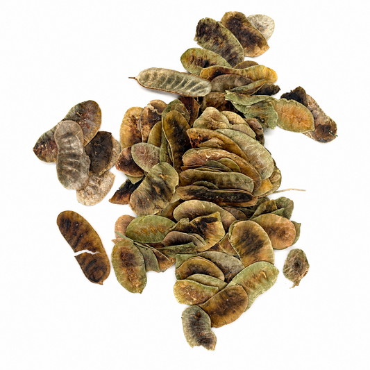 Senna Pods (Folículos de Sen) – Alma Pura Specialties