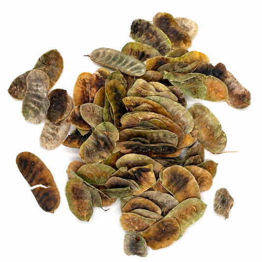 Senna Pods (Folículos de Sen) close-up – Alma Pura Specialties