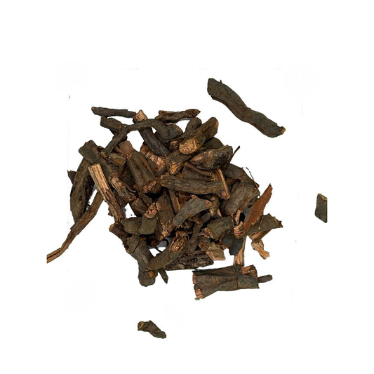 Sarsaparilla (Zarzaparrilla) close-up – Alma Pura Specialties