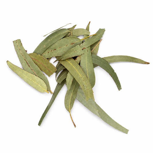 Dried Eucalyptus Leaves (Eucalipto) – Alma Pura Specialties