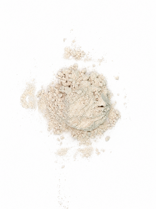 Premium Garlic Powder (Ajo en Polvo) fine grind – Alma Pura Specialties