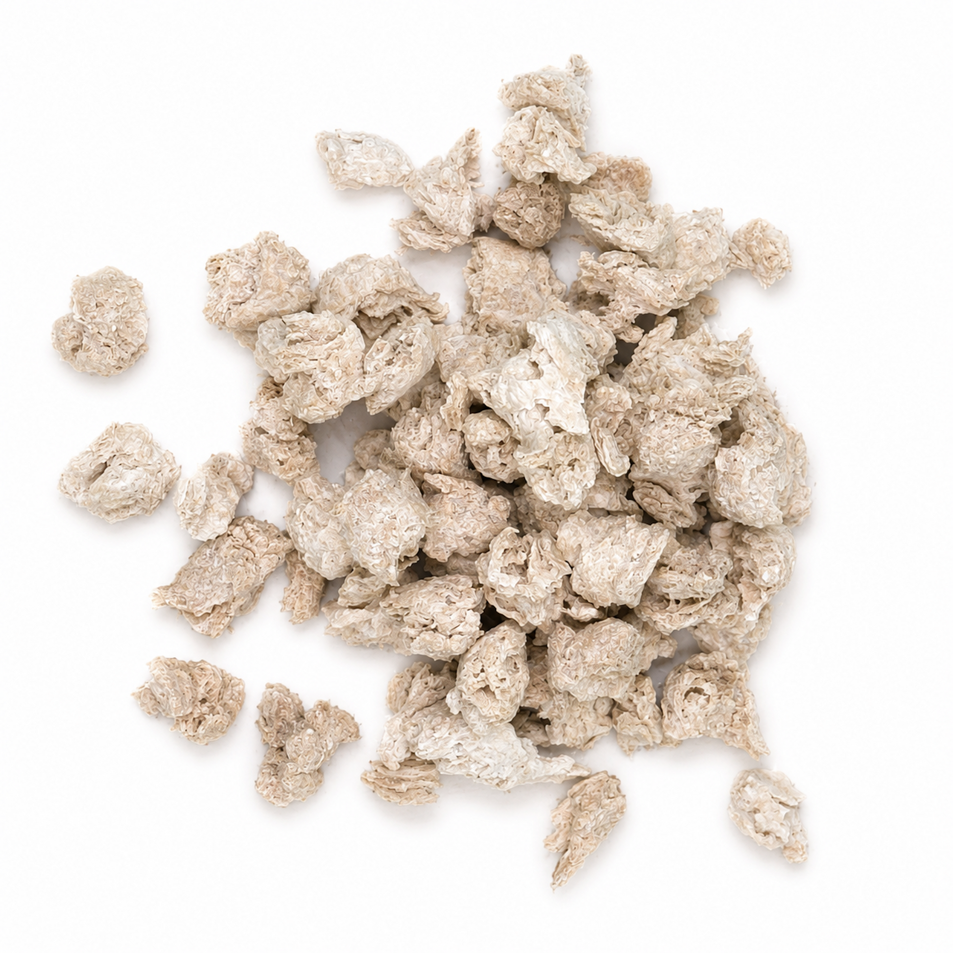 Premium Textured Soy Protein (TVP) – Alma Pura Specialties