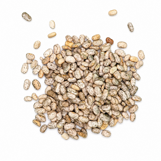 Premium Pinto Beans (USA) – Frijol Pinto for Refried Beans & Chili