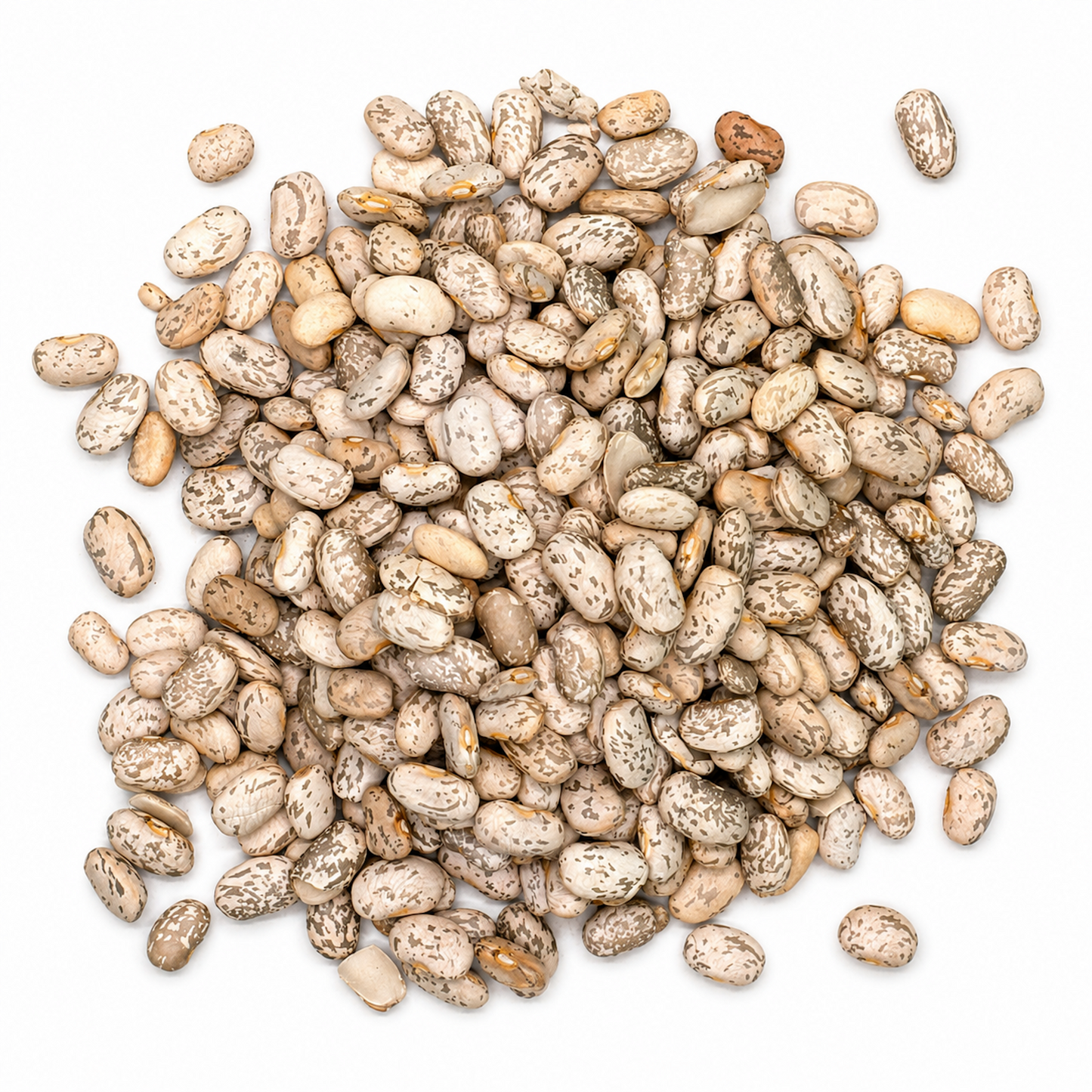 Premium Pinto Beans – Mexican Frijol Pinto for Refried Beans & Chili