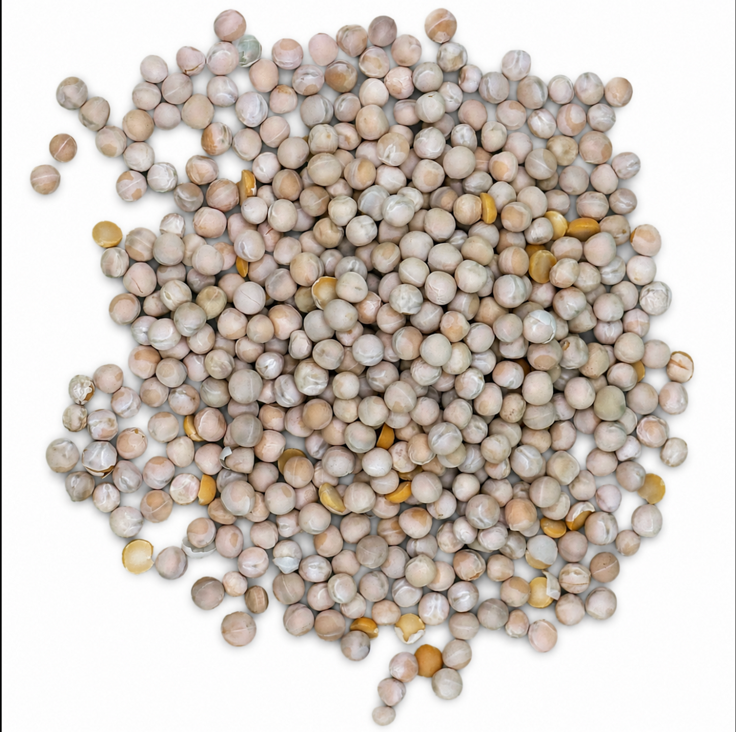 Premium Dried Whole Peas (Alverjón) – Field Peas for Soups & Stews