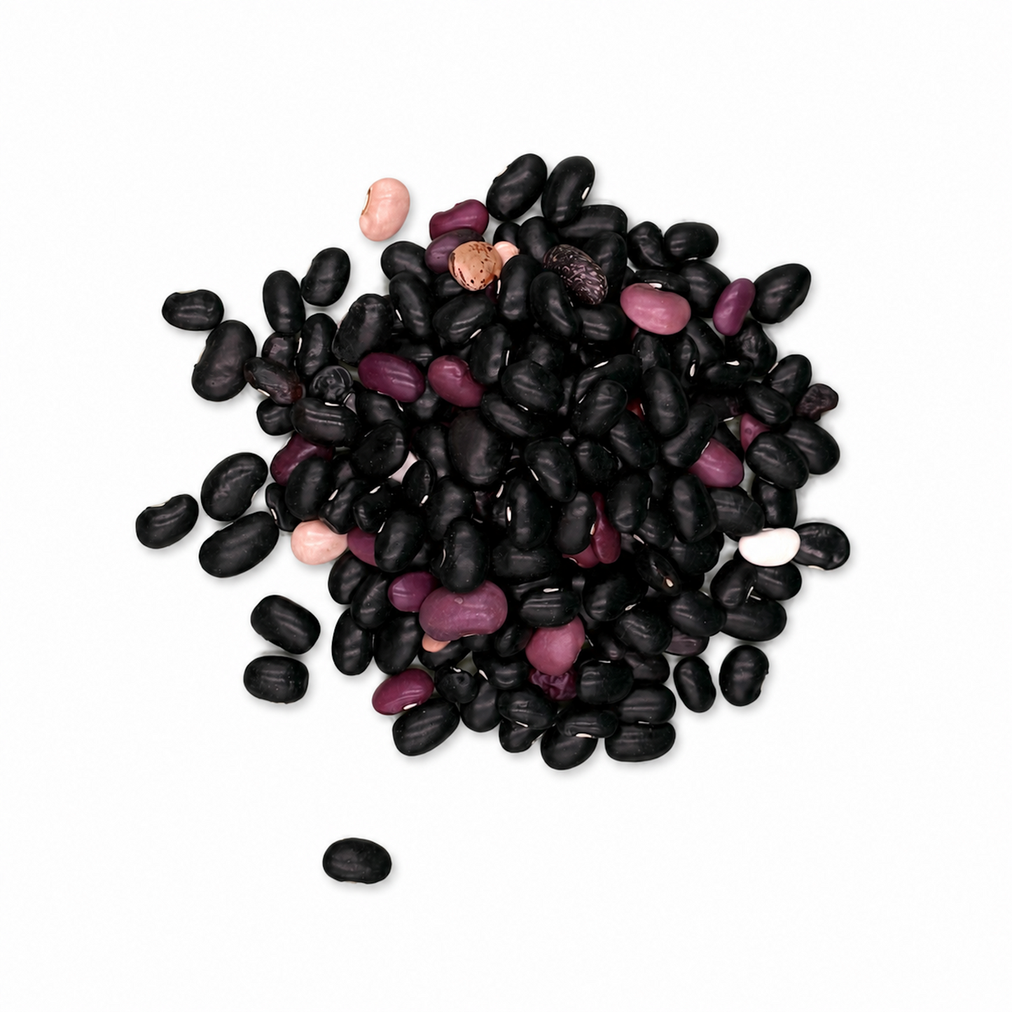 Premium Pinto Ayocote Beans – Heirloom Runner Beans for Stews & Salads