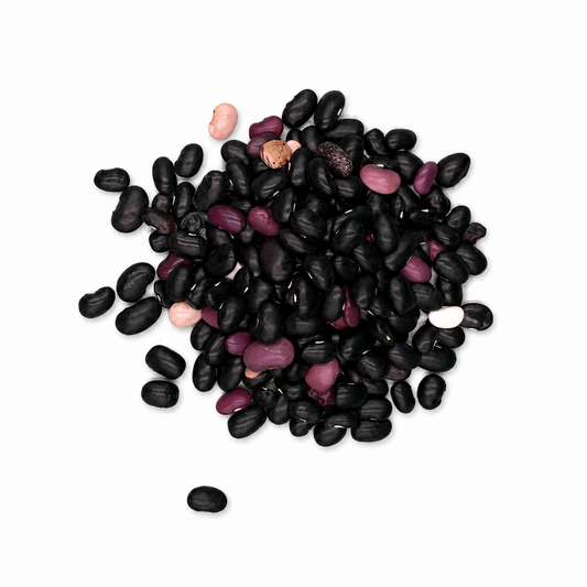 Premium Pinto Ayocote Beans – Heirloom Runner Beans for Stews & Salads