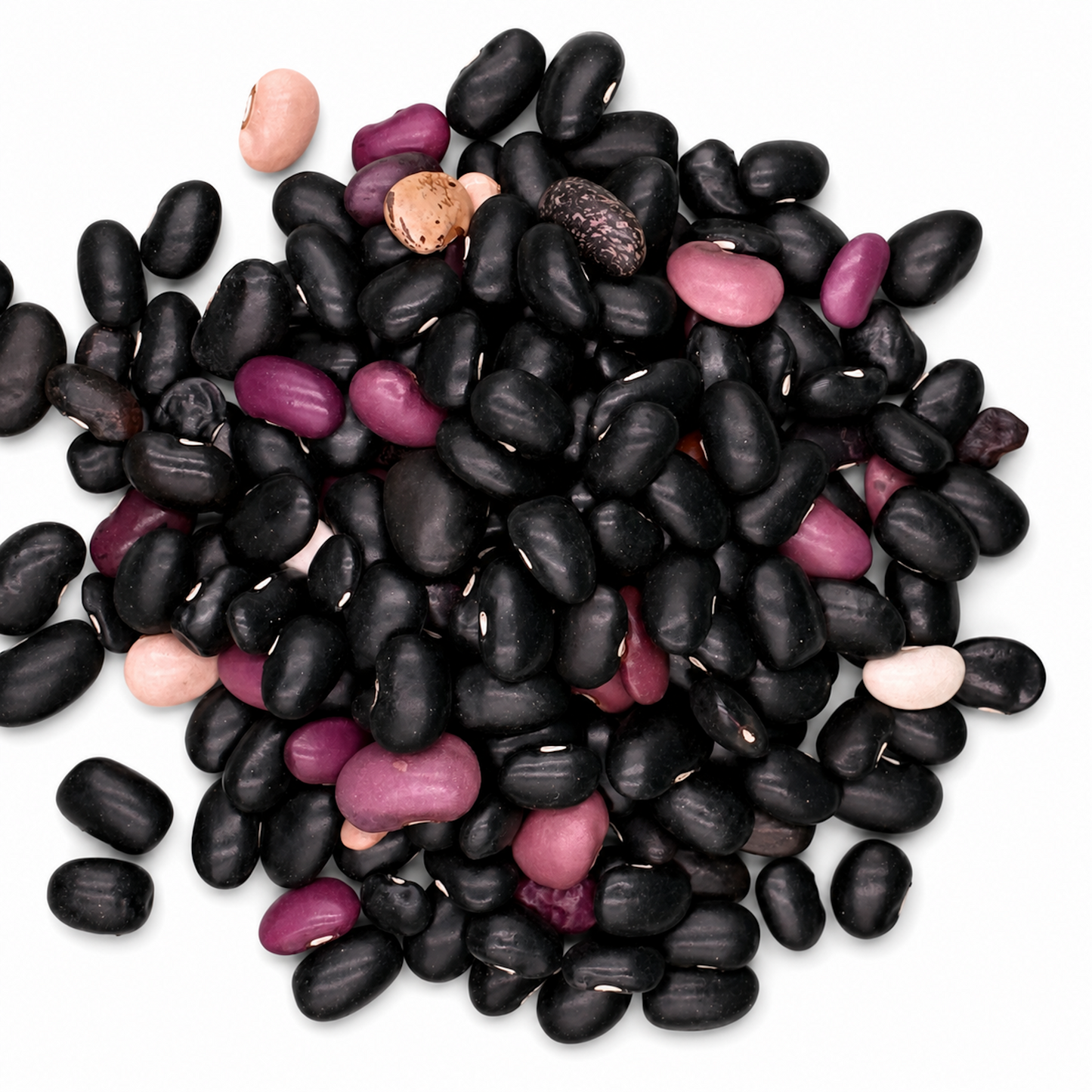 Premium Pinto Ayocote Beans – Heirloom Runner Beans for Stews & Salads