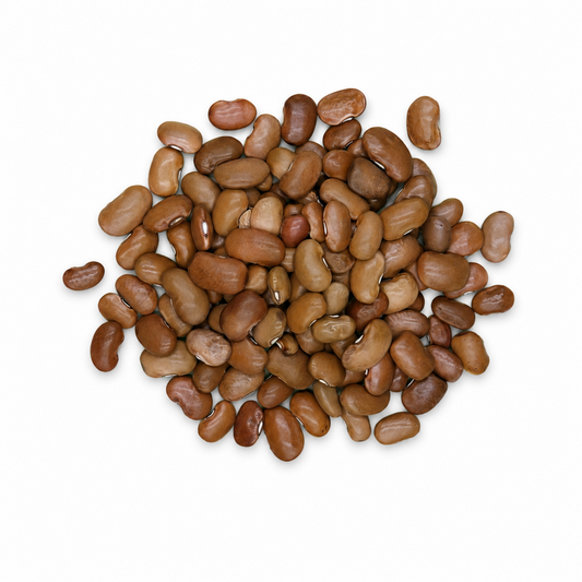 Premium Yellow Ayocote Beans – Rare Heirloom Runner Beans for Gourmet Dishes