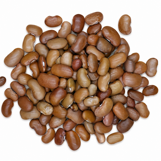 Premium Yellow Ayocote Beans – Rare Heirloom Runner Beans for Gourmet Dishes