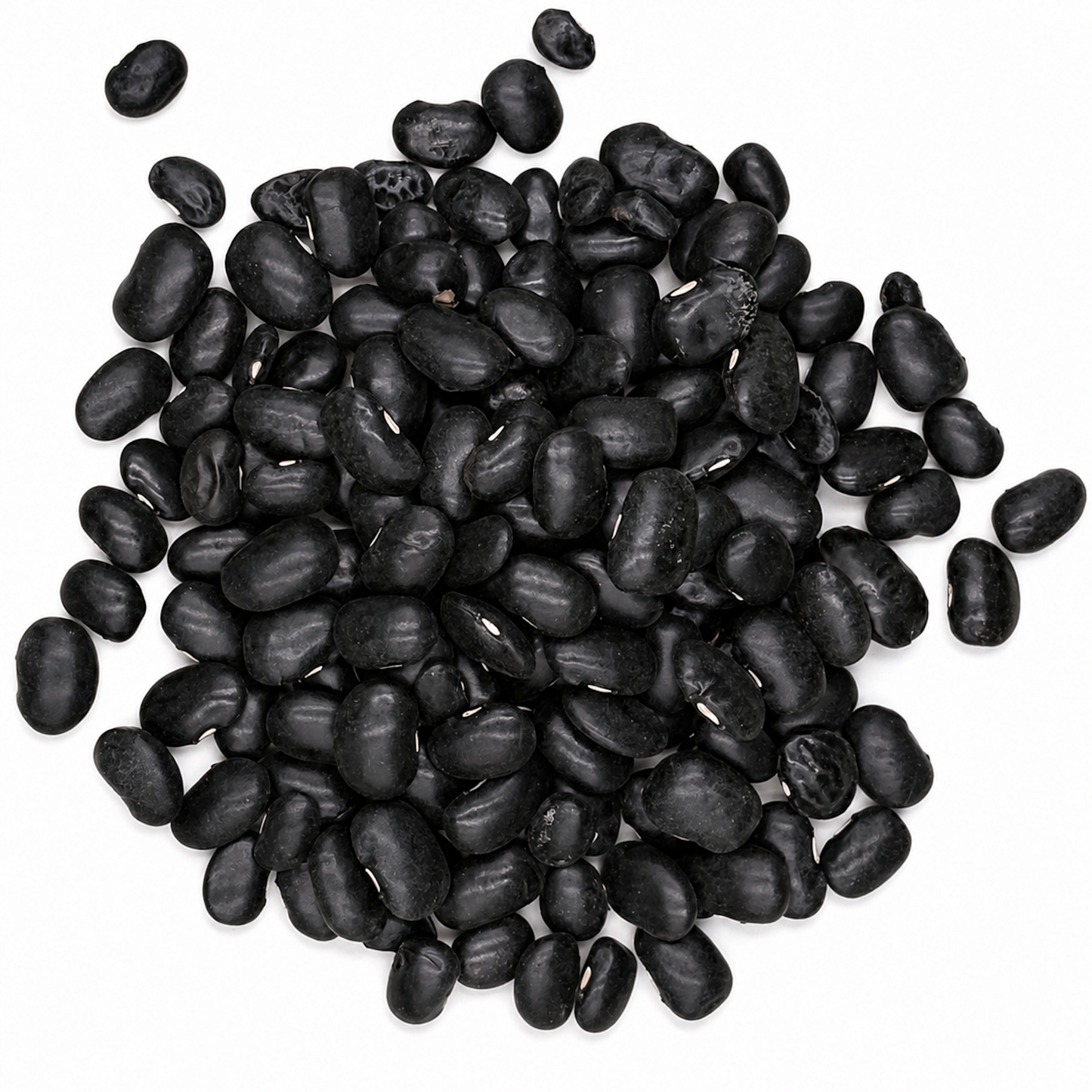 Premium Black Ayocote Beans – Heirloom Runner Beans for Stews & Slow Cooking