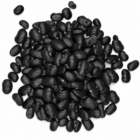 Premium Black Ayocote Beans – Heirloom Runner Beans for Stews & Slow Cooking