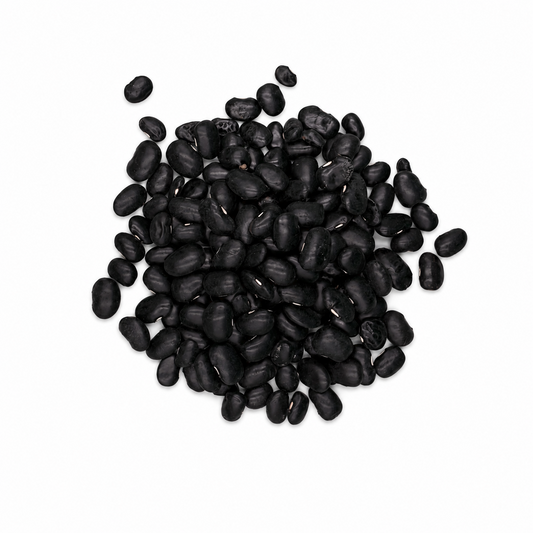 Premium Black Ayocote Beans – Heirloom Runner Beans for Stews & Slow Cooking