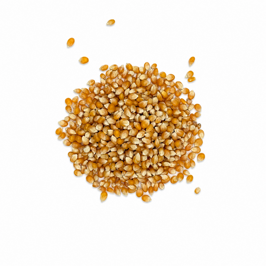 Premium Popcorn Kernels – Maíz Palomero for Snacks & Concessions