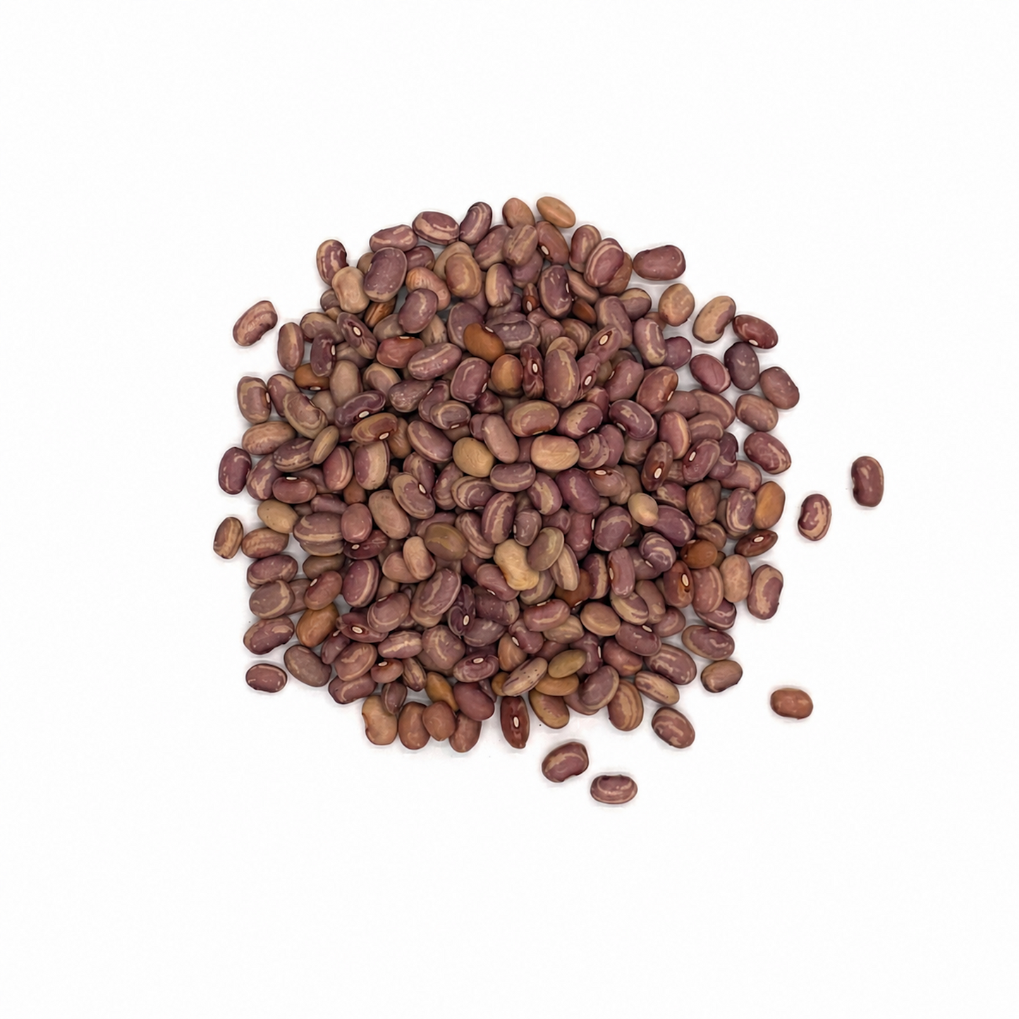 Premium Flor de Junio Beans – Creamy Mexican Beans for Frijoles de Olla