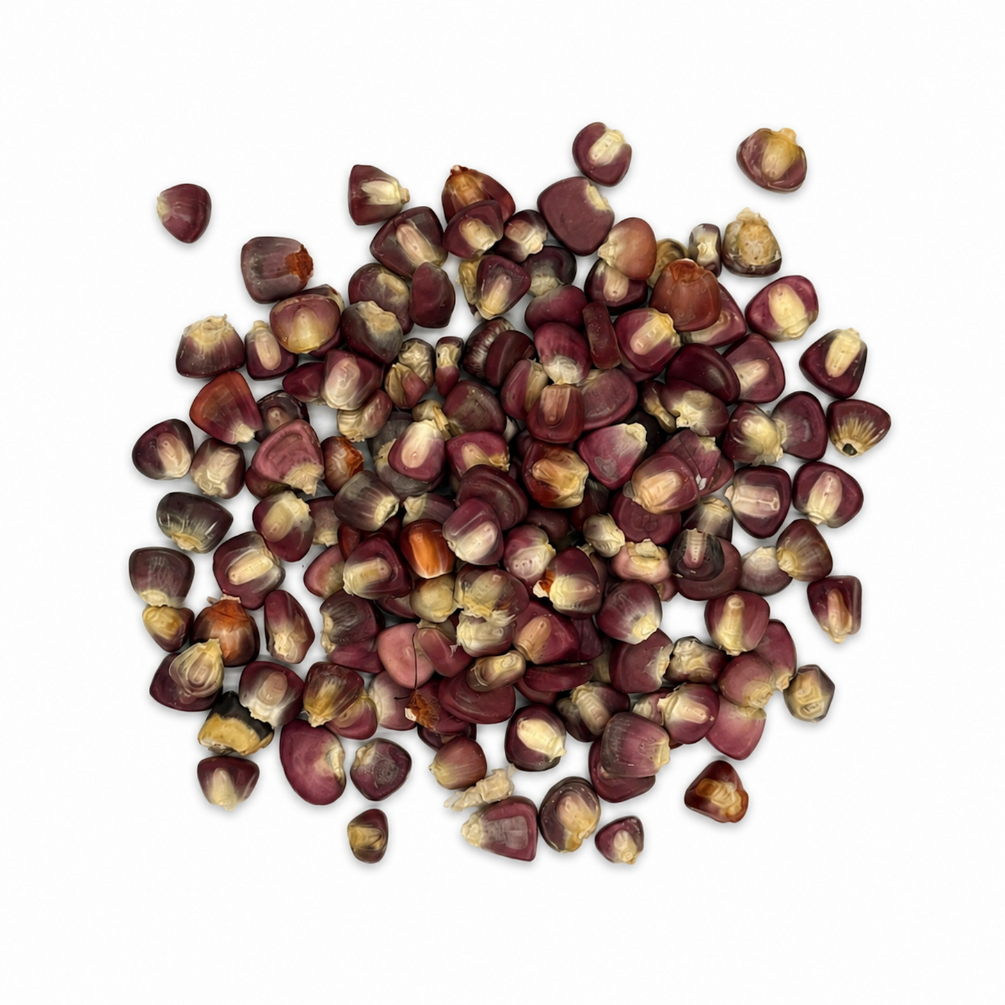 Premium Purple Hominy Corn – Maíz Pozolero Morado / Rojo for Pozole