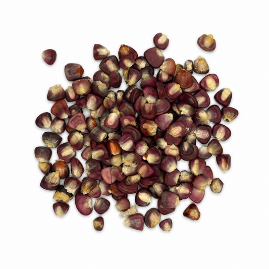 Premium Purple Hominy Corn – Maíz Pozolero Morado / Rojo for Pozole