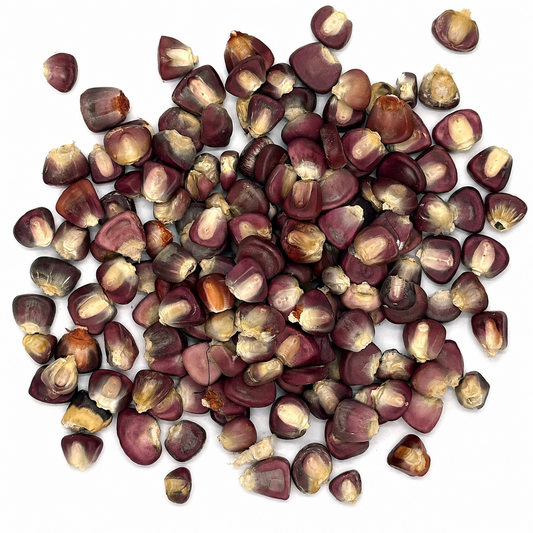 Premium Purple Hominy Corn – Maíz Pozolero Morado / Rojo for Pozole