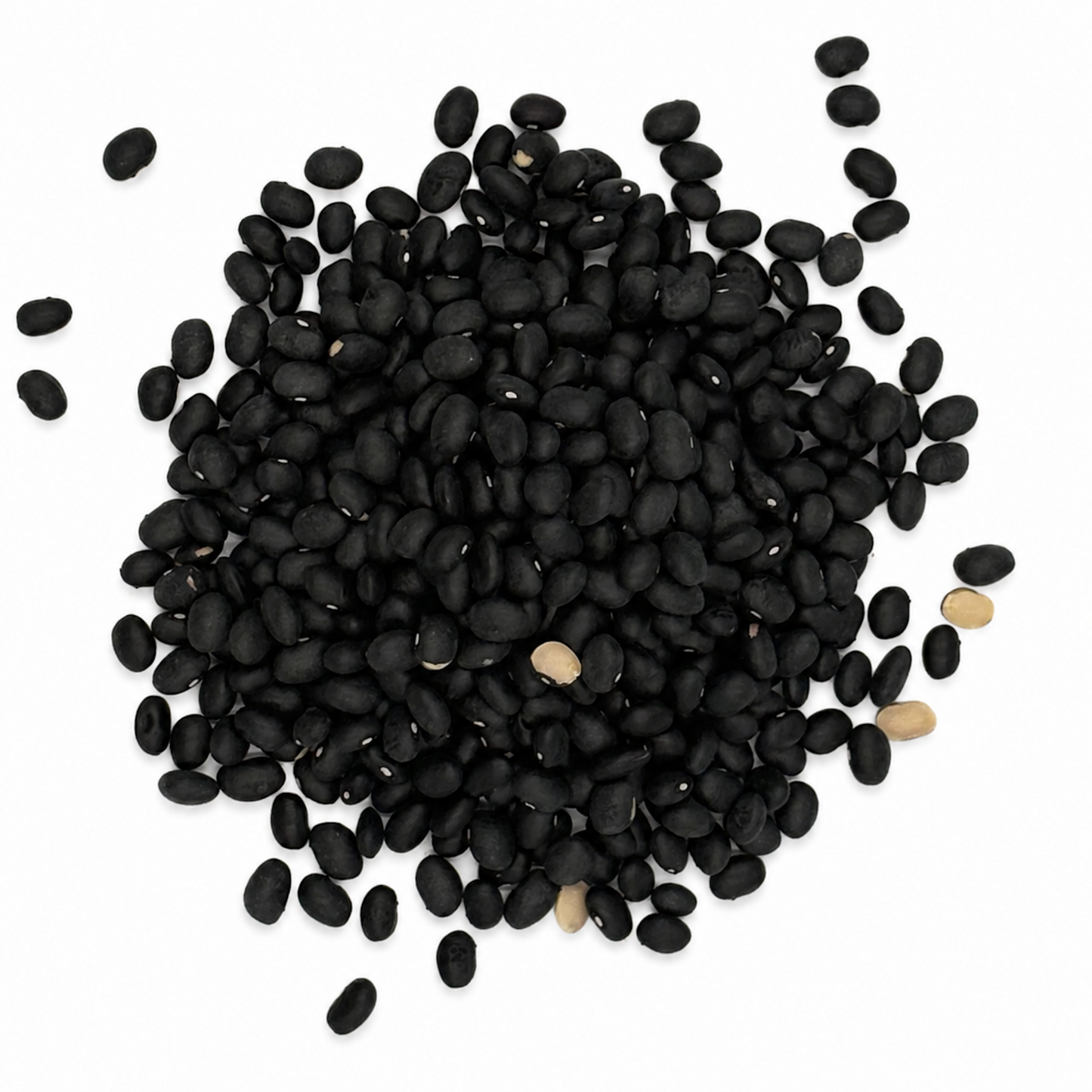 Premium Black Beans – High-Protein Dry Beans for Soups, Meal Prep & Plant-Based Cooking