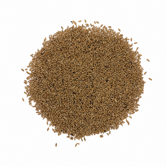 Premium Canary Seeds (Alpiste) – for Plant Milk & Superfood Drinks