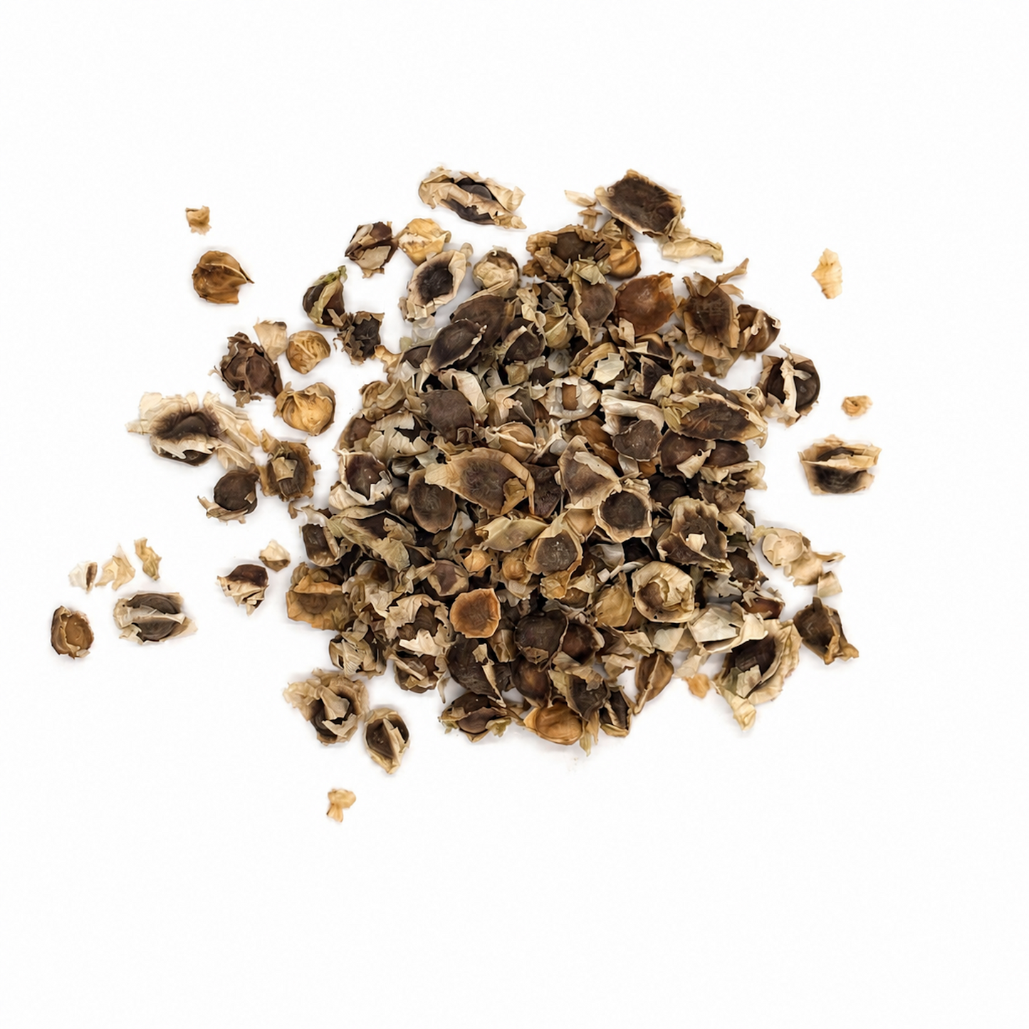 Moringa Seeds (Semilla de Moringa) – Dried Botanical Seeds for Planting & Infusions