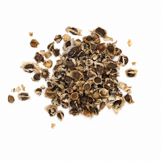 Moringa Seeds (Semilla de Moringa) – Dried Botanical Seeds for Planting & Infusions