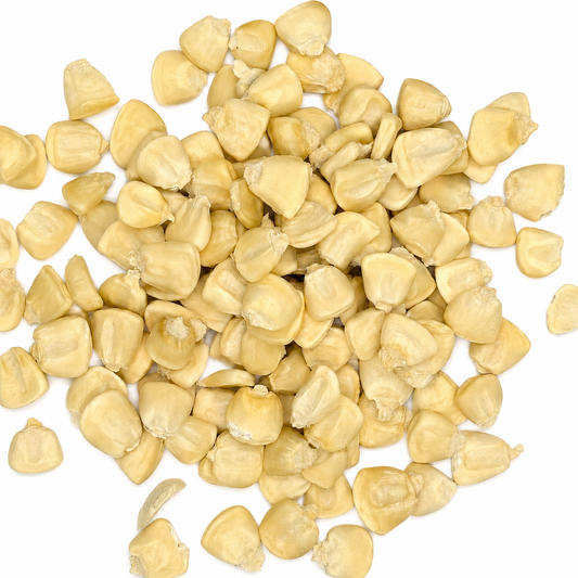 Premium White Hominy Corn – Maíz Pozolero Blanco for Pozole