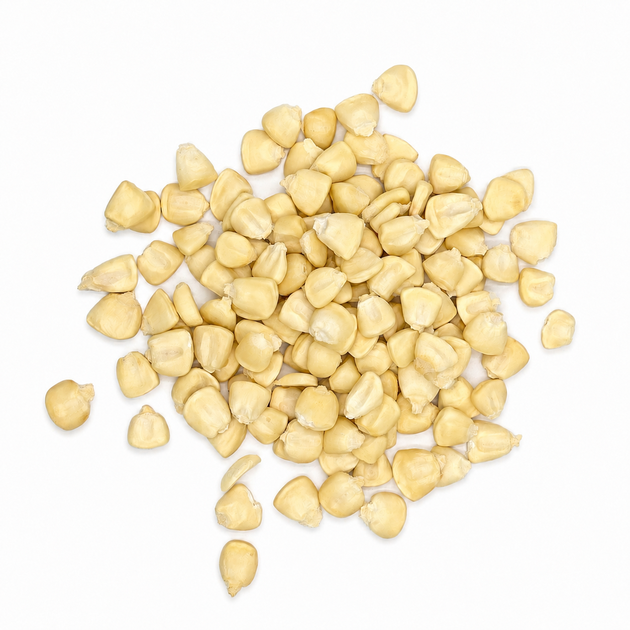 Premium White Hominy Corn – Maíz Pozolero Blanco for Pozole