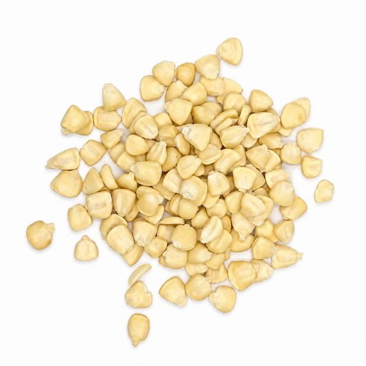 Premium White Hominy Corn – Maíz Pozolero Blanco for Pozole